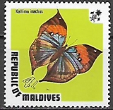 Maldivy č Mi  0466