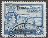Turks & Caicos  p Mi  0124