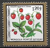 Mongolsko č Mi 1883