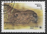 Bielorusko p  Mi 0099