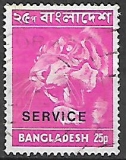 Bangladéš p Mi D 10