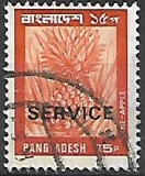 Bangladéš p Mi D 24