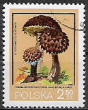Poľsko p Mi 2695