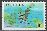 Barbuda č Mi 0191