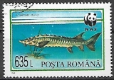 Rumunsko p  Mi 5037