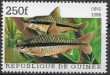 Guinea č Mi  1888