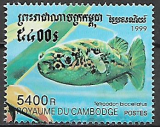 Kambodža č Mi 1996