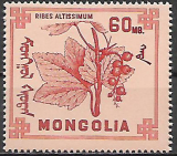 Mongolsko č Mi 0495