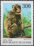 Guinea č Mi  1954