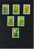 Kvety Sv.Tomáš 1979*