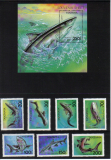 Žraloky Tanzánia 1993*