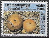 Kambodža p Mi 2173