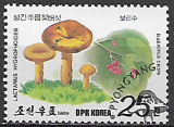 Severná  Kórea p Mi 3001