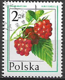 Poľsko p Mi 2491