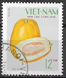 Severný Vietnam p Mi 0618