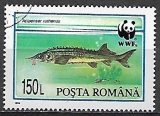 Rumunsko p  Mi 5034