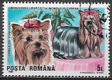 Rumunsko p  Mi 4610