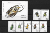 Chrobáky Madagaskar 1994*
