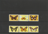Motýle  Sv.Tomáš 1979*