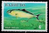 Barbuda č Mi 0189