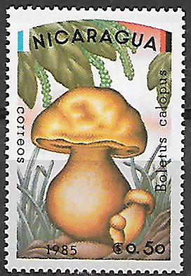 Nikaragua č Mi 2561