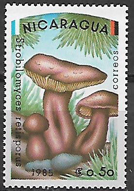 Nikaragua č Mi 2562