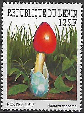 Benin č Mi 0989