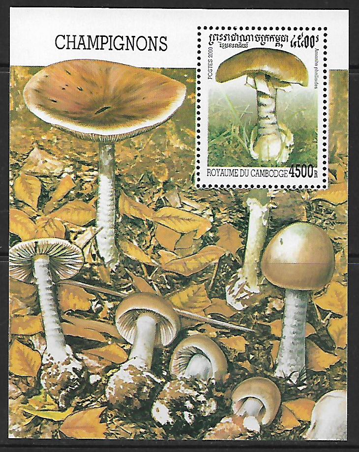 Kambodža č Mi Bl 0268