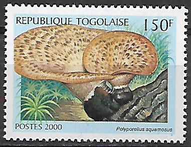 Togo č Mi 3051