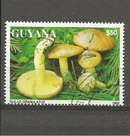 Guyana p Mi 4138