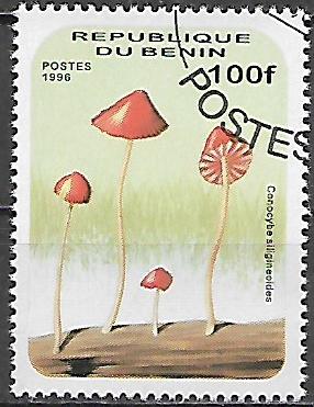 Benin p Mi 0852