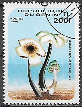 Benin p Mi 0854