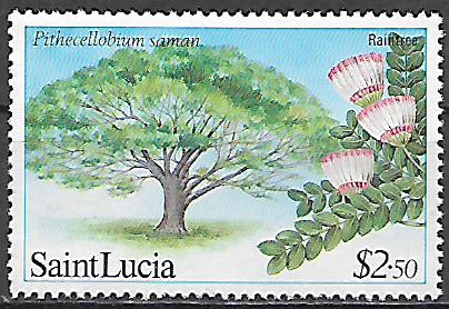 Sv.Lucia  č Mi  0651