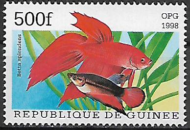 Guinea č Mi  1892