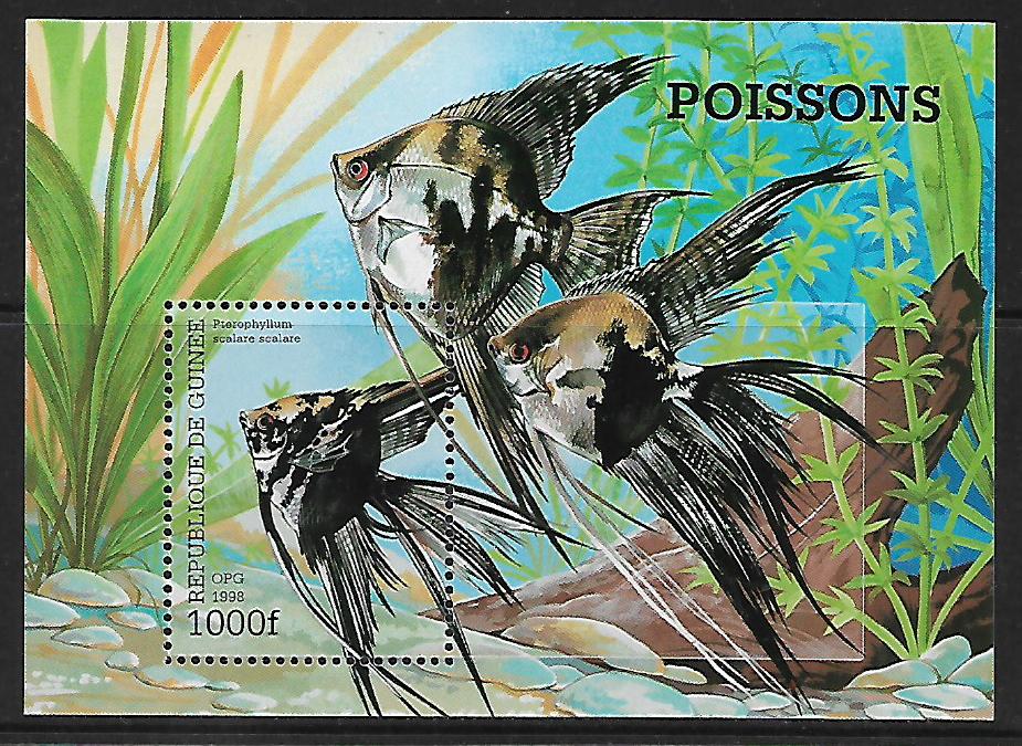 Guinea č Mi  Bl 0534