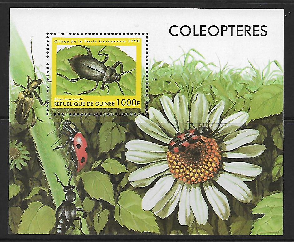 Guinea č Mi  Bl 0535