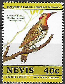Nevis č Mi  0270