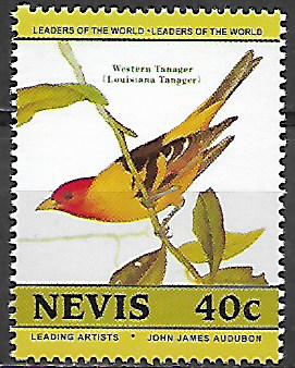 Nevis č Mi  0271