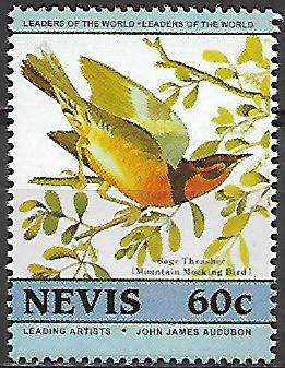 Nevis č Mi  0272