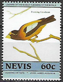 Nevis č Mi  0273