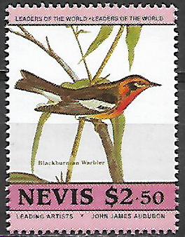 Nevis č Mi  0274