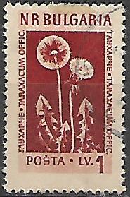 Bulharsko p  Mi 0884