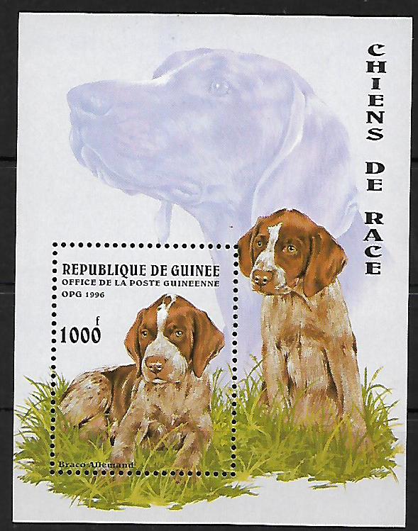 Guinea č Mi  Bl 0503
