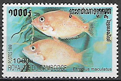 Kambodža č Mi 1993