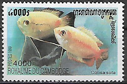 Kambodža č Mi 1995