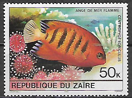 Zair  č Mi 0668