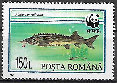 Rumunsko č  Mi 5034