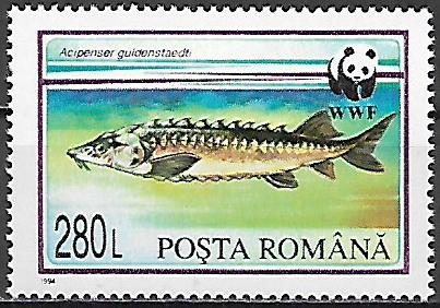 Rumunsko č  Mi 5035