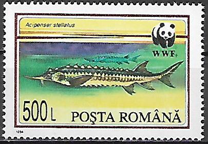 Rumunsko č  Mi 5036
