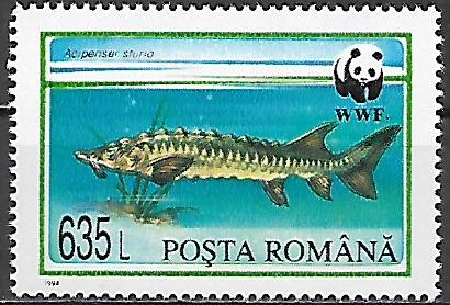 Rumunsko č  Mi 5037